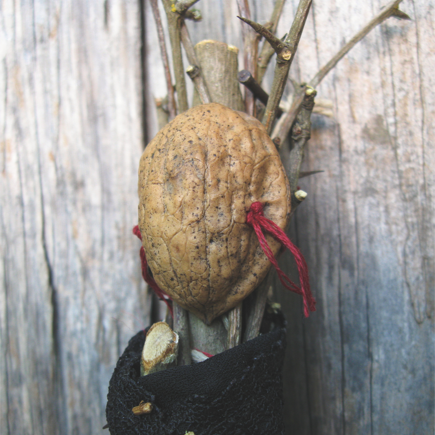 close up of a spirit doll with half of an empty walnut for a face