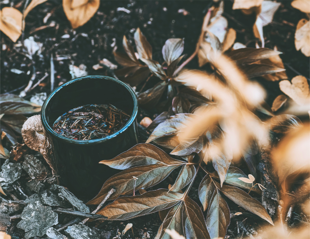 a black cup with herbs steeping in liquid sitting on dead leaves on the ground