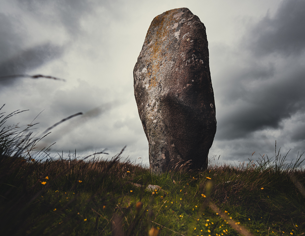 a standing stone against a gray sky surrounded by grass and small orange flowers