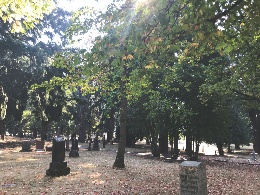Headstones among the trees