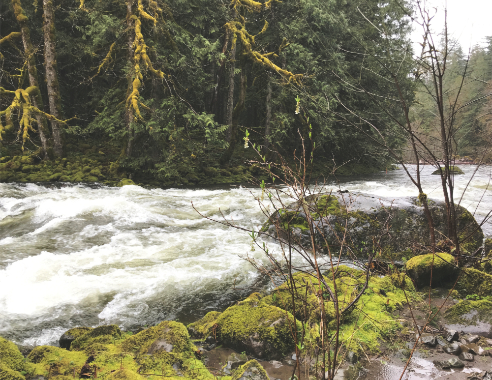 mossy rocks besides a fast moving river