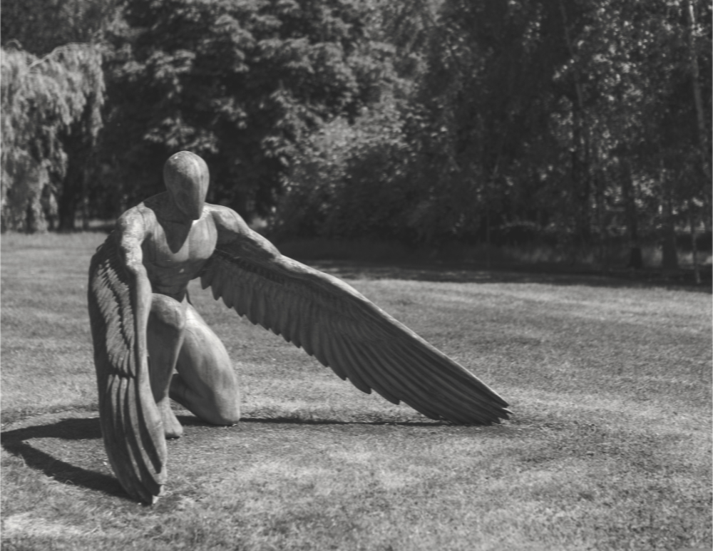 Black and white photo of an angel sculpture in a grassy clearing
