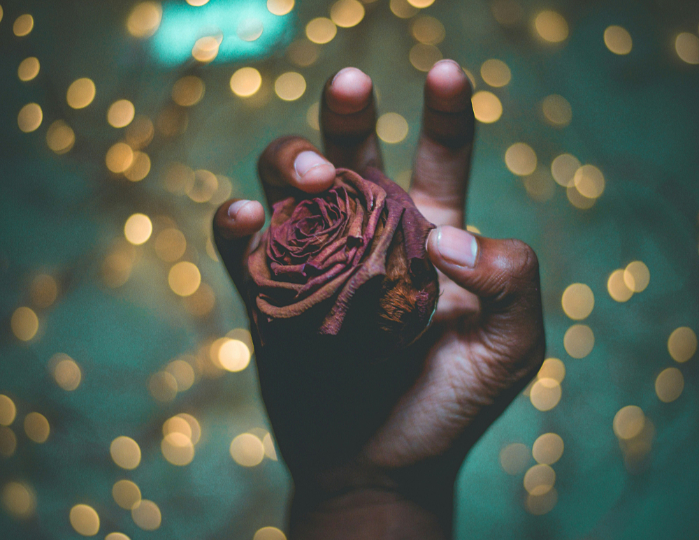 a woman's hand holding a dried rose with blurry lights in the background