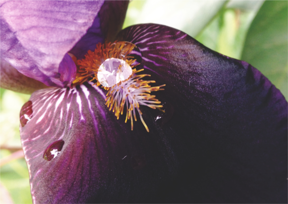 The Art of Observation: A Magickal&nbsp;Exercise