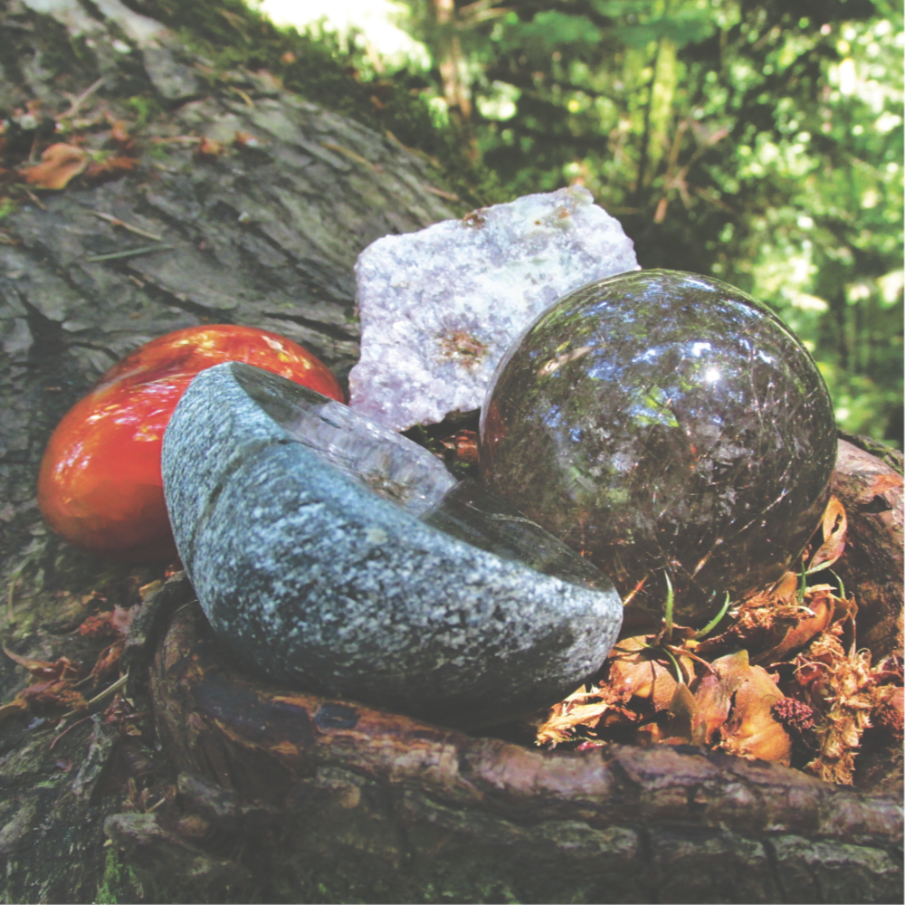 four crystals resting in a hole in a tree trunk