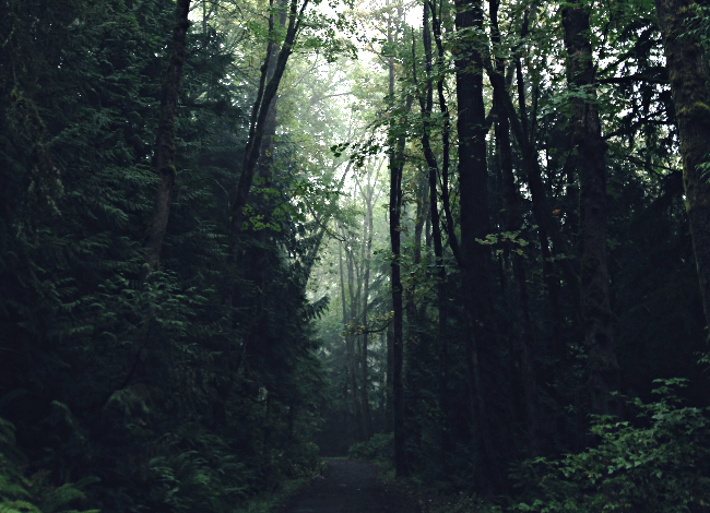 A Beginner’s Guide to Communing with Nature: The Sacred Mile Project in&nbsp;January