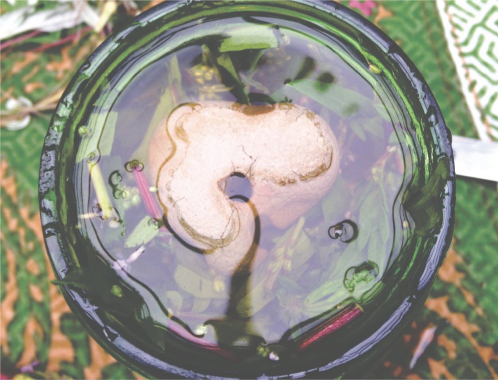 a jar full of herbs and liquid with a hagstone floating at the top