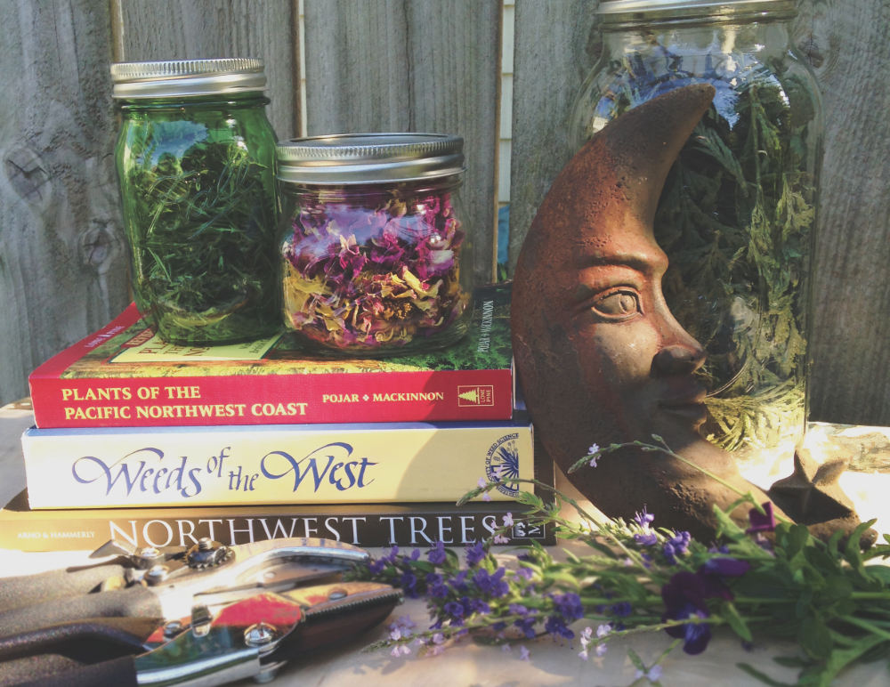 jars of herbs, field guides to plants, and garden shears on a table