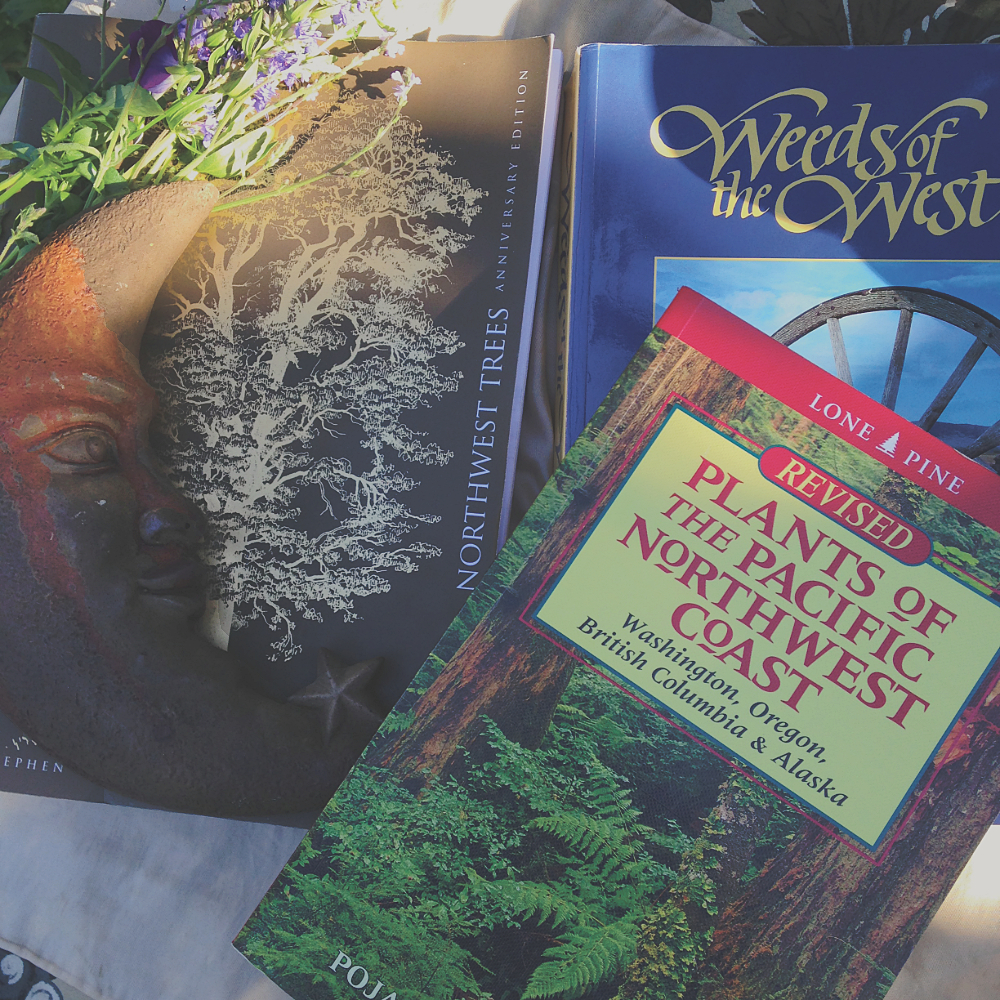 several field guides to plants and trees
