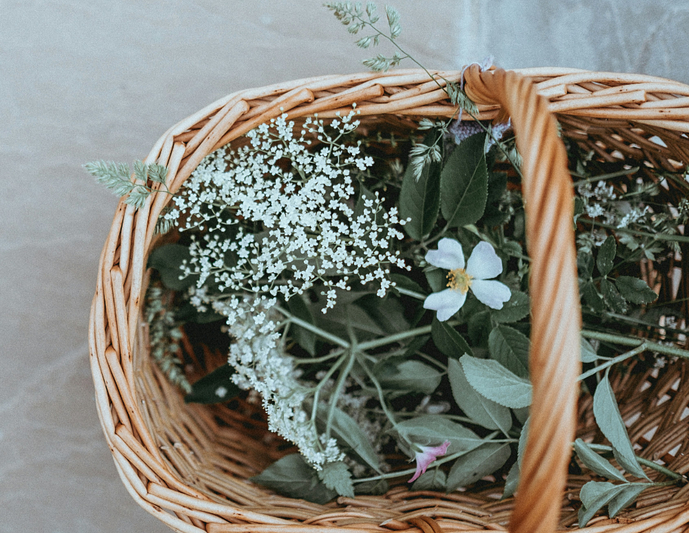 A wicker basket with white flowers and herbs
