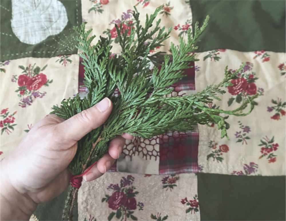 A woman's hand holding a small bundle of western red cedar foliage.
