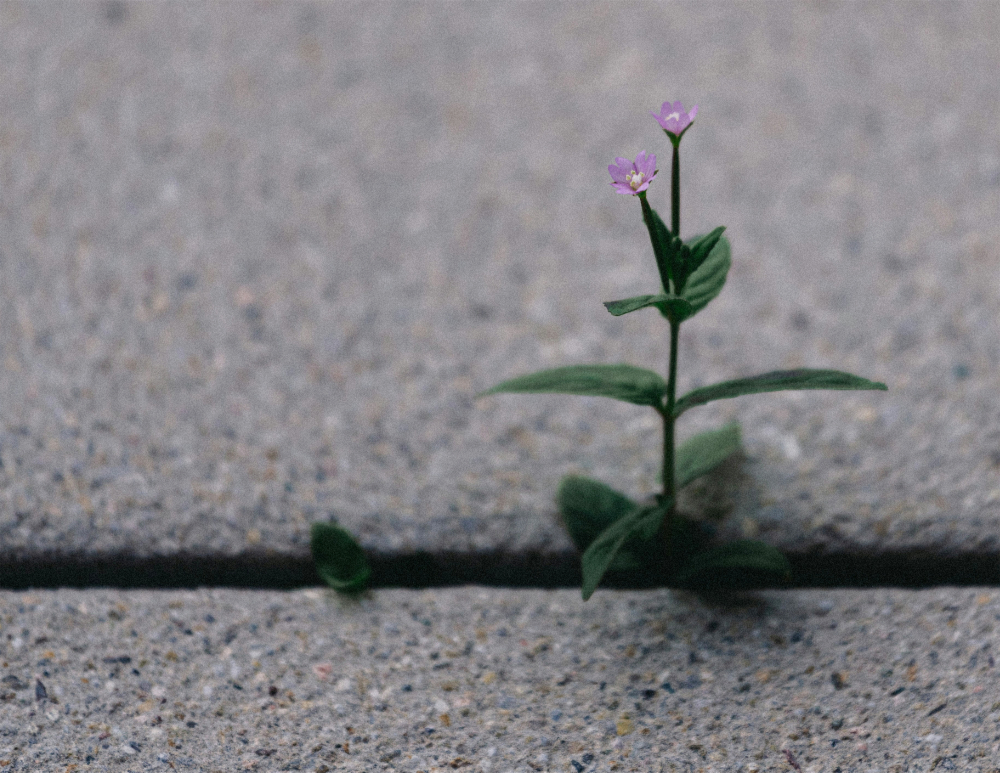 I Hope You Make It: A Short&nbsp;Story