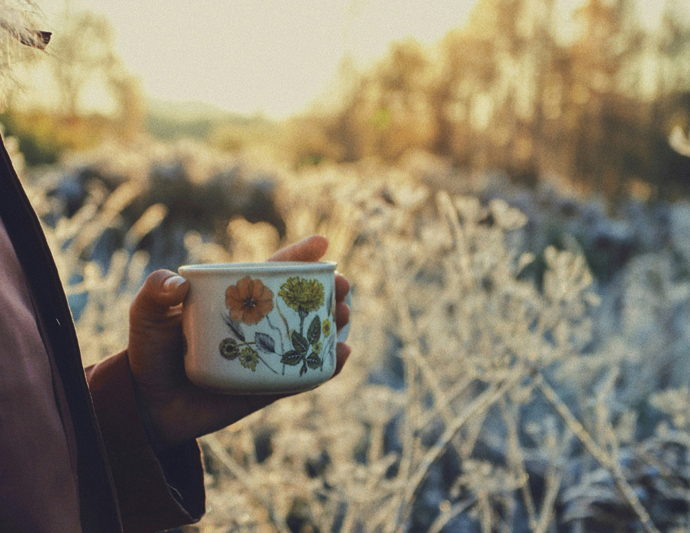 Monday Inspiration: Stillness